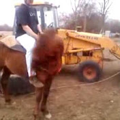 Profile Picture of Joe Bramlage (@joebramlage2232) on Youtube