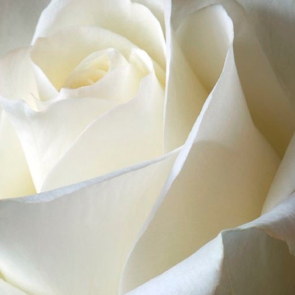 Profile Picture of Candice Malone (@simplyc83) on Poshmark