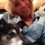 Profile Picture of Catherine jarvis (@dustiedreams) on Instagram
