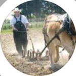 Ted Hall - Instagram Profile Picture of Ted Hall (@lmrone_) on Instagram