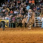 Profile Picture of Caleb Norris (@calebnorris6020) on Instagram
