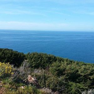 Profile Picture of Jay Jou (@chorfi96) on Twitter