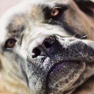 Profile Picture of Tim Aguilar (@timaguilar) on Instagram