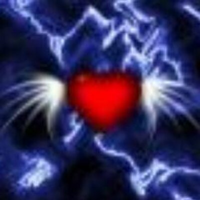 Profile Picture of Kelly Insel (@bischoff_celine) on Twitter