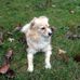 Profile Picture of Alma Larsen (@Alma-Larsen) on Facebook
