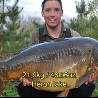 Profile Picture of Steve Tillett (@stevie_08) on Twitter