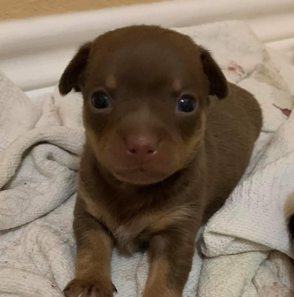 Profile Picture of Frank Laras (@franklaras) on Poshmark