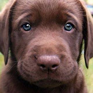 Profile Picture of Thomas Jin (@Thomas-Jin) on Facebook