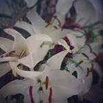 Profile Picture of Karen du Preez (@karen.dupreez1) on Instagram
