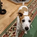 Profile Picture of Jeannette Allen (@jeannette.allen.125) on Facebook