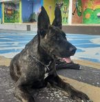 Profile Picture of Ivan Dubac (Dule W) (@mali.c.patuljak) on Facebook