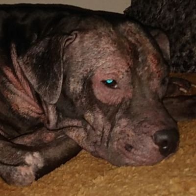 James Pelham - Twitter Profile Picture of James Pelham (@JamesPelham12) on Twitter