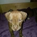 Alyshia Adea joy mauch... - Tiktok Profile Picture of   Alyshia Adea joy mauch... (@alyshia0660) on Tiktok