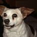 Profile Picture of Sonja Matthews (@sonja.matthews.940) on Facebook