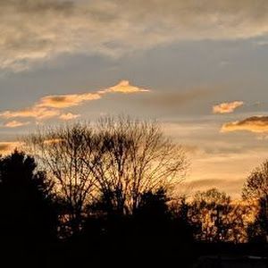 Profile Picture of samdalessandro988 (@samdalessandro988) on Tiktok