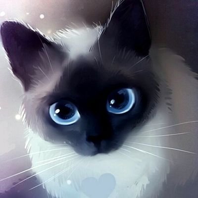 Profile Picture of Candy Julian (@CandyJulian5) on Twitter