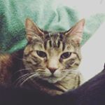 Profile Picture of Benjamin Puig (@thebenventor) on Instagram