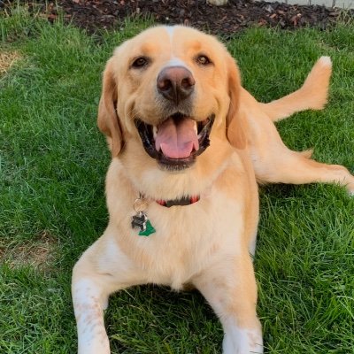 Profile Picture of Ashley Kilmer (@KilmerAshley1) on Twitter