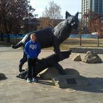 Profile Picture of Joe Brannock (@joe.brannock) on Instagram