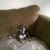 Profile Picture of Julia Hinton (@julia.hinton.583) on Facebook