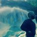 Profile Picture of Brian Heitzman (@bheitzman0201) on Pinterest