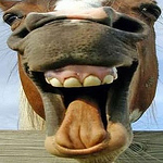 Profile Picture of Raymond Jones (Redneck Gremlin) (@Raymond Jones (Redneck Gremlin)) on Flickr
