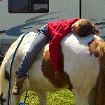 Profile Picture of Audrey Serrano (@audrey_chic) on Instagram