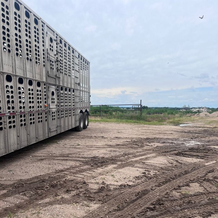 Profile Picture of DanWalko (@danielwalko34) on Tiktok