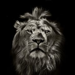 Profile Picture of Philip Gavin (@PhilipGavin1) on Twitter