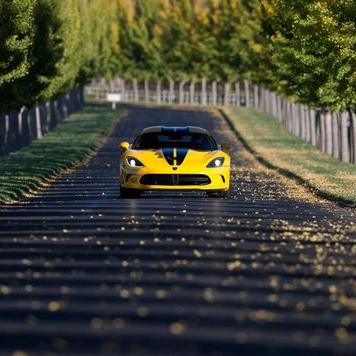 Profile Picture of Sean Acevedo (@originalbacon1) on Twitter