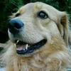 Profile Picture of Brian Blaney (@@brianblaney2020) on Tiktok
