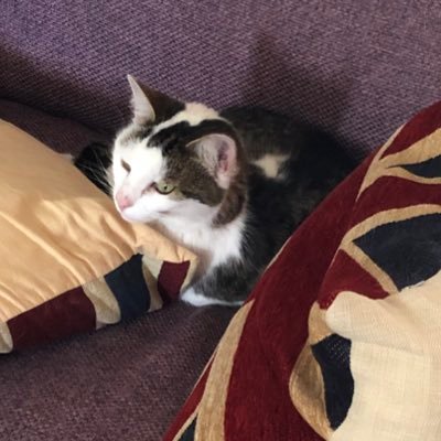 Profile Picture of Andy Lodge (@AndrewLodge6) on Twitter