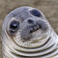 Profile Picture of Curtis Coe (@curtis-coe-2) on Quora