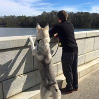 Profile Picture of Joshua Payne (@joshua-payne-52) on Quora
