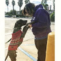 Profile Picture of Amy Kaldas (@amy-kaldas) on Quora