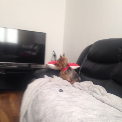 Profile Picture of Robert Renwick (@robertrenwick1) on Tiktok
