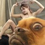 Profile Picture of Wayne Jacobson (@waynejacobson1) on Instagram