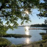 Profile Picture of Diane Takata Powell (@dianetpowell) on Instagram