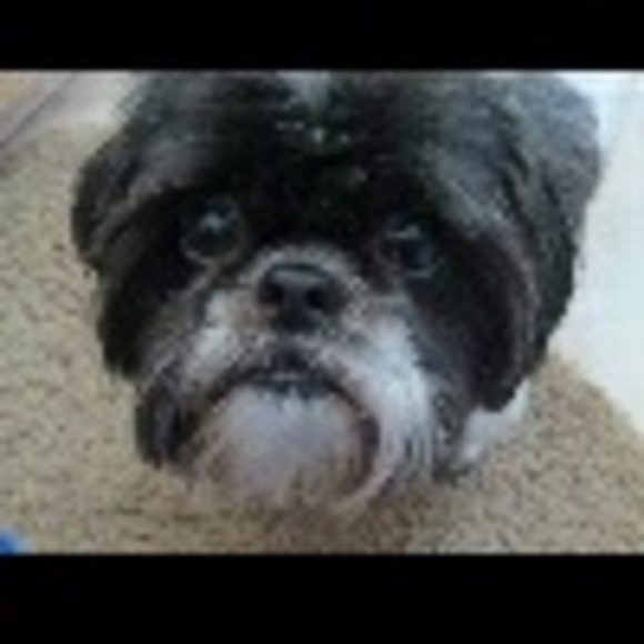 Profile Picture of Irene Pepping (@erayna) on Poshmark