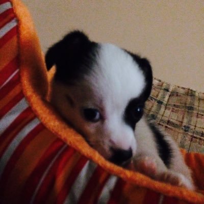 Profile Picture of Matthew Brazell (@matthew_brazell) on Twitter