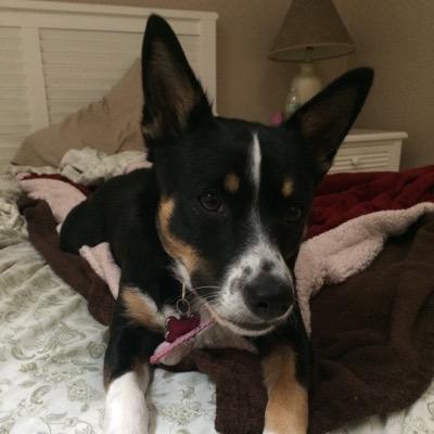 Profile Picture of Heather Hendricks (@heatherakah) on Twitter