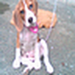 Profile Picture of Mark Anthony Soriano (@aeonmarky) on Flickr