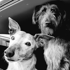 Profile Picture of Craig Sawyer (@craigsawyer5) on Tiktok