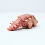 Profile Picture of Andrew Perini (@periniart) on Instagram