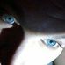 Profile Picture of Steve Paul Reep (@steven.reep.9) on Facebook