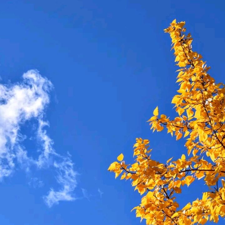 Profile Picture of Benjamin Horath (@cs44vok.8) on Tiktok