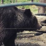 Profile Picture of Lisa Güldner (@lisa.guldner) on Instagram