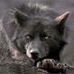Profile Picture of Johan Borge (@johan.borge.3) on Facebook