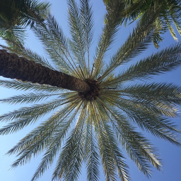 Profile Picture of Lily Ryan (@lily_141414) on Poshmark