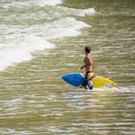 Profile Picture of Robert Scherer (@robertschereer) on Instagram